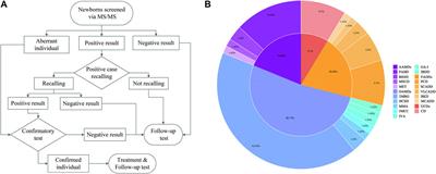 206,977 newborn screening results reveal the ethnic differences in the spectrum of inborn errors of metabolism in Huaihua, China